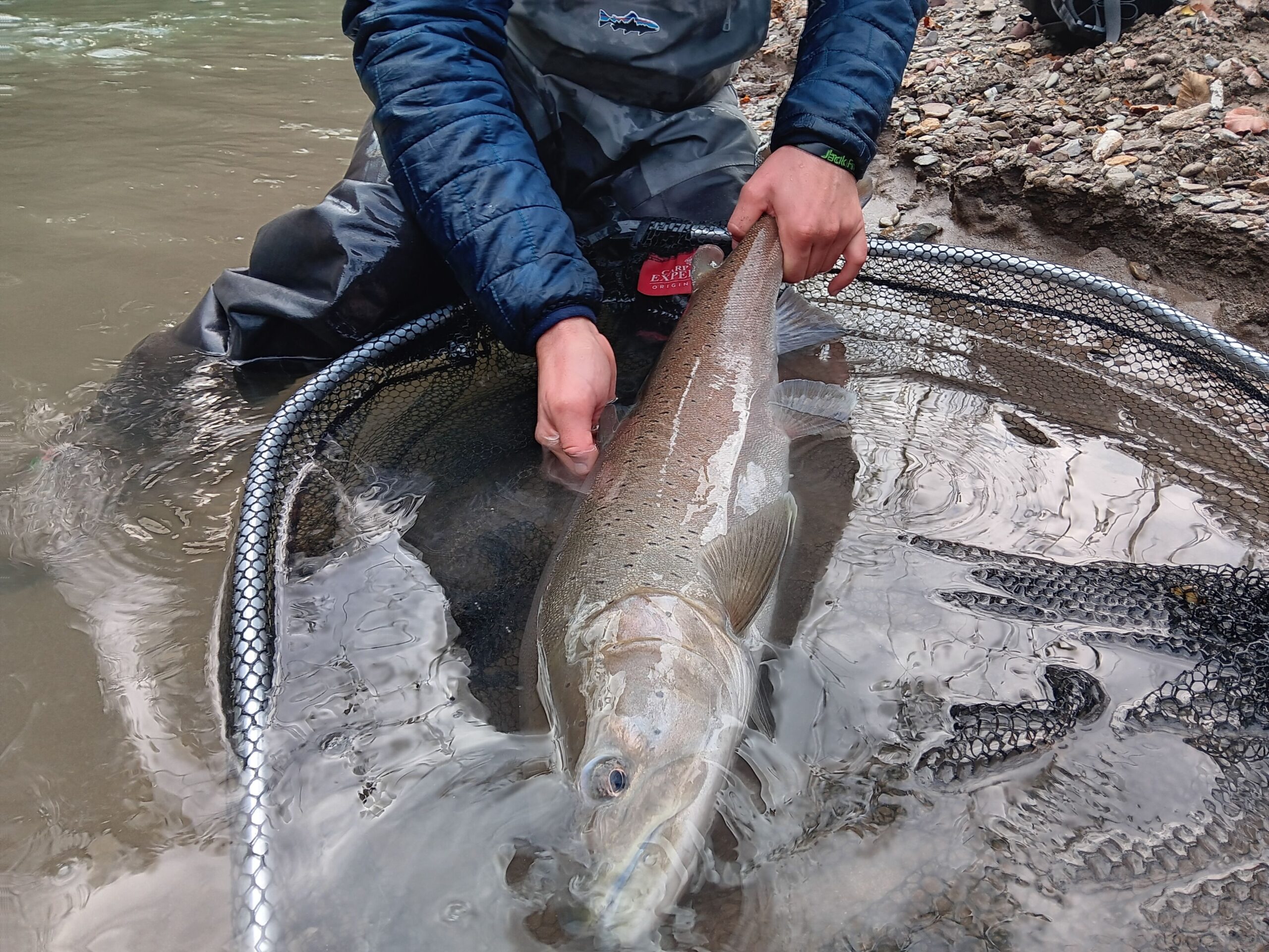 Fishing Hucho Hucho